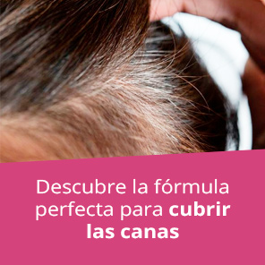 cubrir las canas