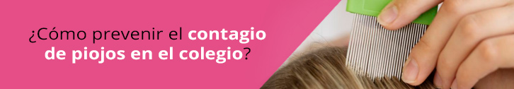 como prevenir el contagio de piojos