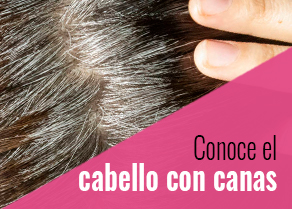 cabello con canas