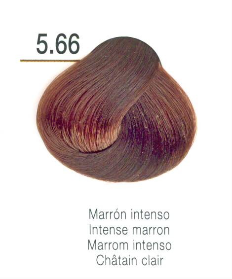 TINTE EN CREMA RISFORT COLOR MARRON INTENSO