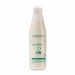 Salerm 21 Acondicionador 250ml